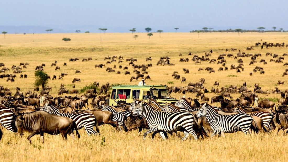 7 Facts About Africa that you DIDN’T know